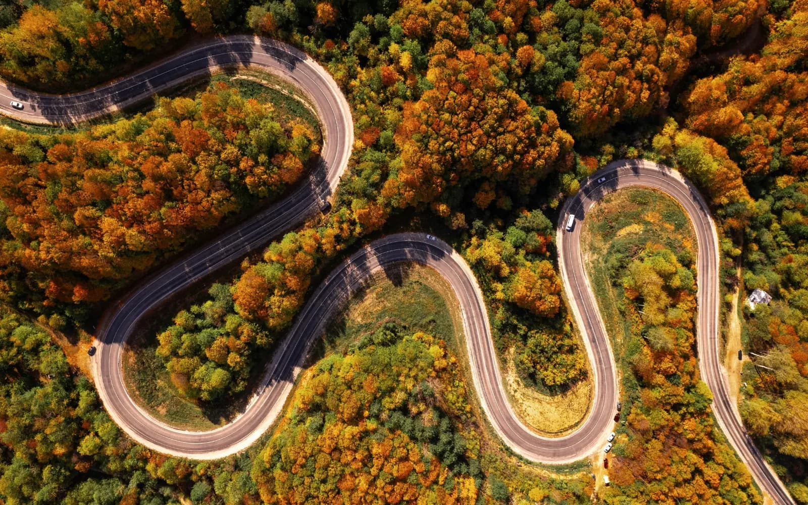 Aerial view of a road winding in smooth S-curves through an autumn forest, one continuous route through complex terrain